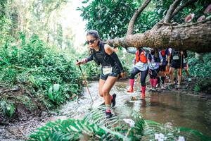 BIB: 
                            <button type="button" onclick="openModal(25475931)" class="btn btn-primary btn-sm float-right btn-popup" data-toggle="modal" data-target=".modal-high-quality">
                        <i class="fas fa-shopping-cart"></i> Add to Cart
                    </button>
                                            <button type="button" onclick="isThisMe(25475931, true)" class="btn btn-success btn-sm float-right btn-popup btn-isme hidden" data-toggle="tooltip" data-placement="bottom" title="นี่คือรูปของคุณใช่ไหม คลิกที่นี่เพื่อเอาเข้าอัลบั้ม">
                        <i class="fas fa-plus"></i> Add to album
                    </button>
                    <button type="button" onclick="isThisMe(25475931, false)" class="btn btn-warning btn-sm float-right btn-popup btn-isnotme hidden">
                        <i class="fas fa-ban"></i> Remove from album
                    </button>